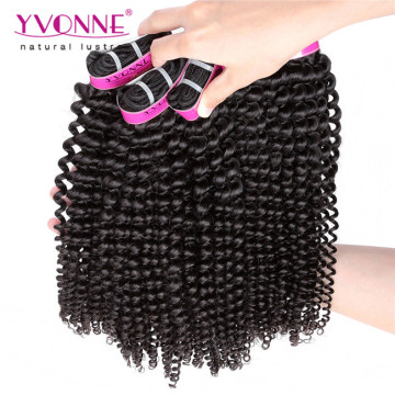 Fashion Kinky Curly Brazilian Human Hair Extension